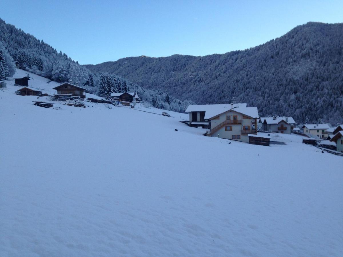Conte Moro, Ospitalita In Vanoi Chalet