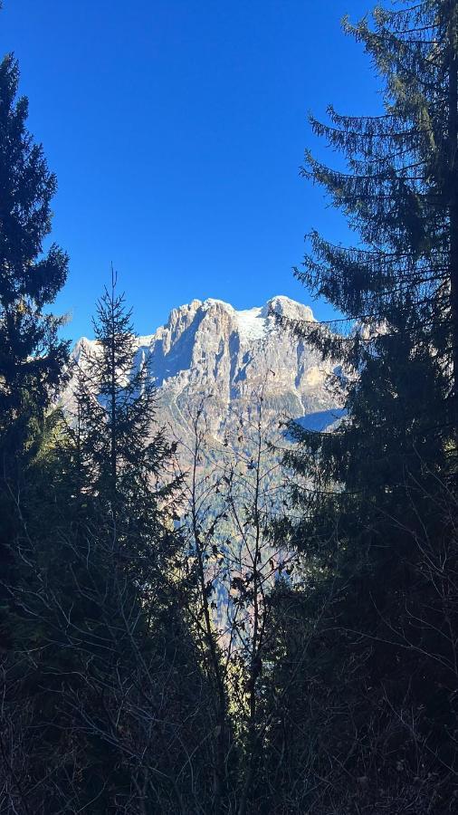 Conte Moro, Ospitalita In Vanoi Chalet Canal San Bovo